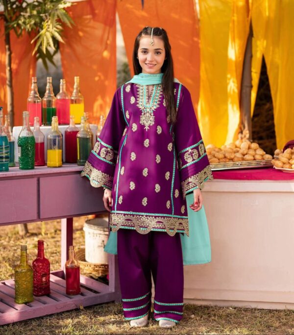 Neck, Sleeves Border Embroidery With Kayawork Shirt And Emb Trouser With Plain Contrast Dupatta Kids 3Pcs