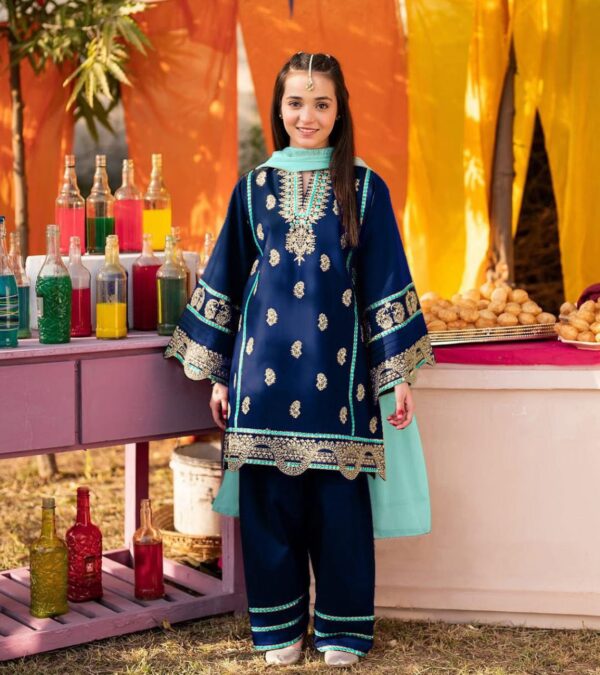 Neck, Sleeves Border Embroidery With Kayawork Shirt And Emb Trouser With Plain Contrast Dupatta Kids 3Pcs - Image 5