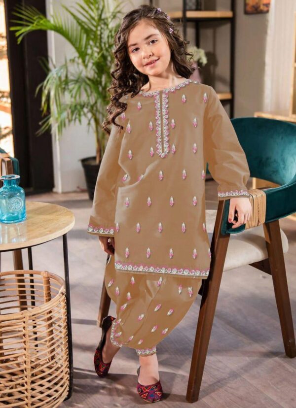 2Pcs Front Neck,Border Embroidered Shirt With Emb Trouser Kids 2Pcs - Image 6