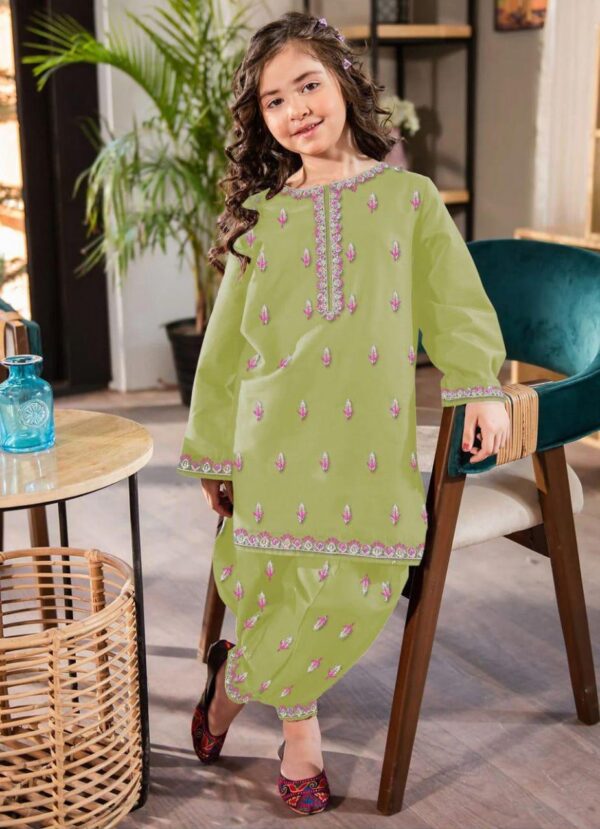 2Pcs Front Neck,Border Embroidered Shirt With Emb Trouser Kids 2Pcs - Image 9