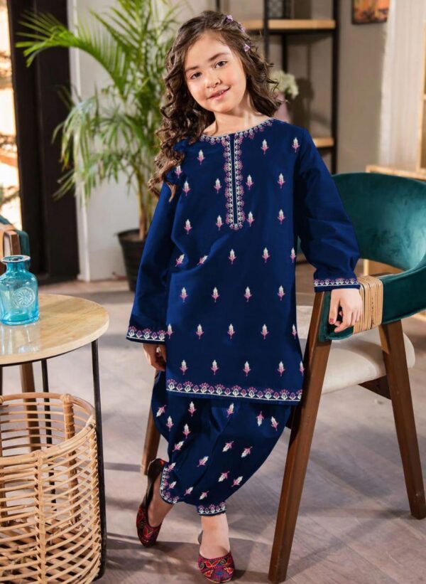 2Pcs Front Neck,Border Embroidered Shirt With Emb Trouser Kids 2Pcs - Image 4